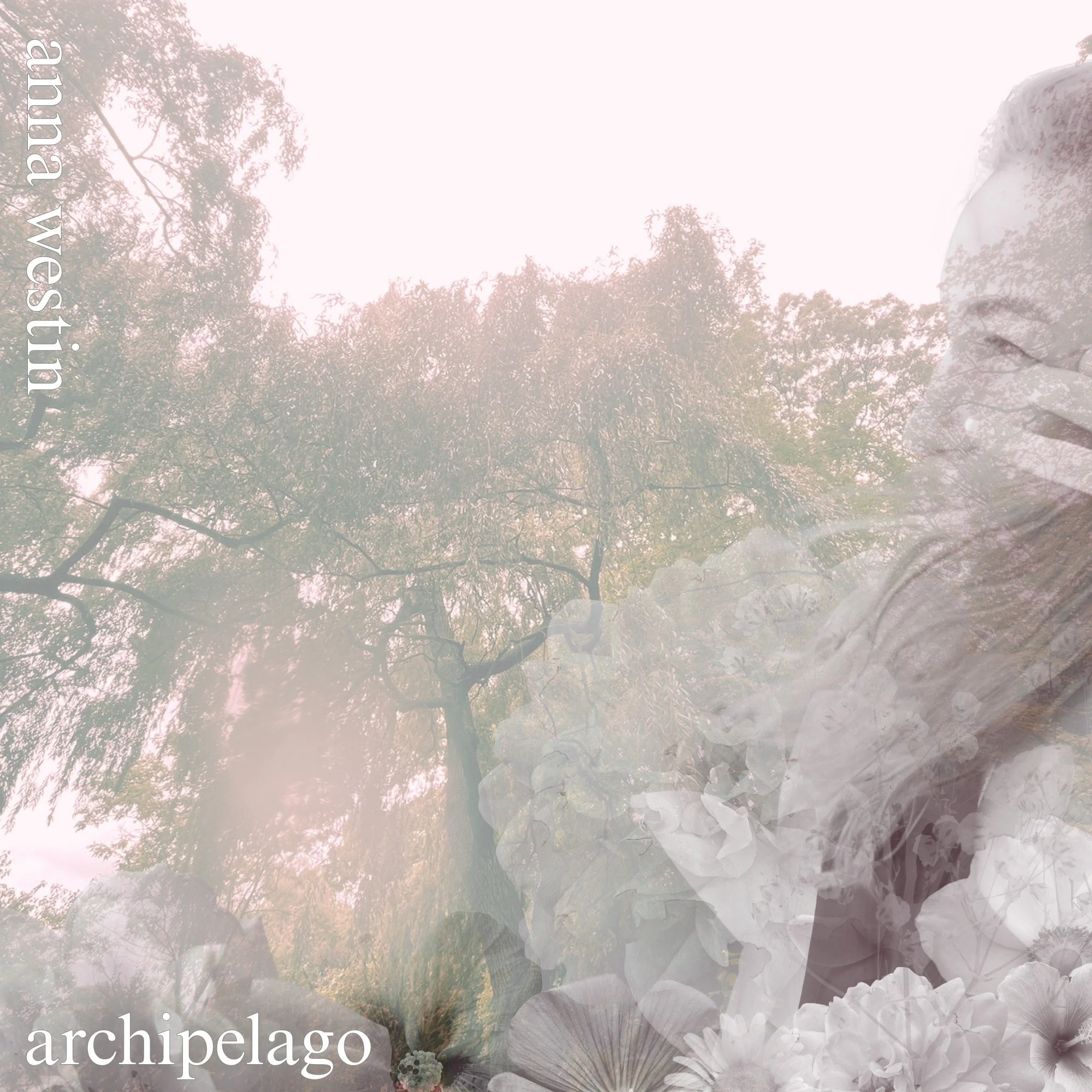 Anna's COVER ART (1).jpeg