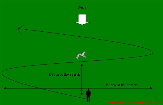 Diagram showing the ideal pattern for spring field trials.