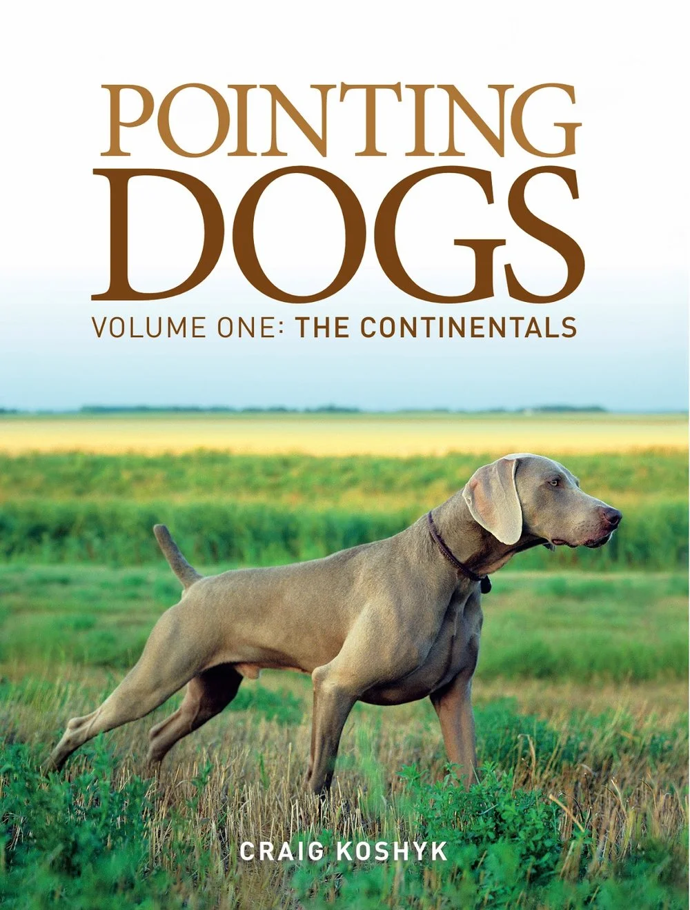 volume-one-cover.jpg