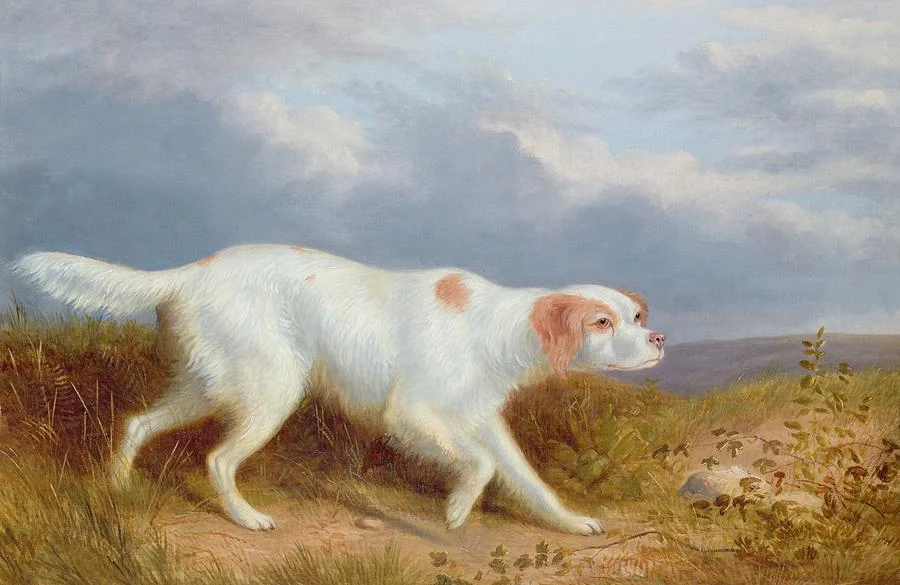 Painting by Reinagle of a ‘ pale fawn color’ English setter.