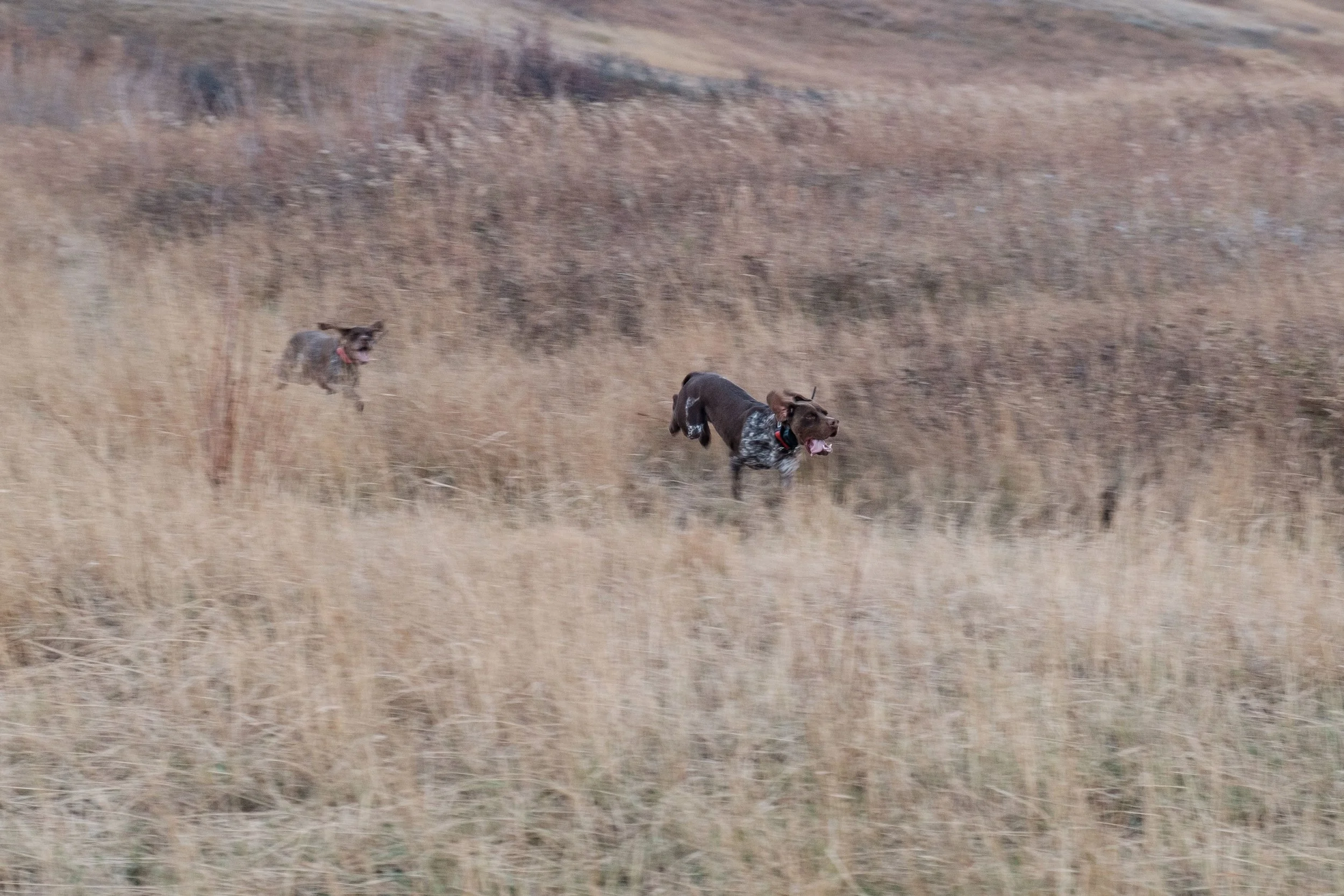 DSCF3430.jpg