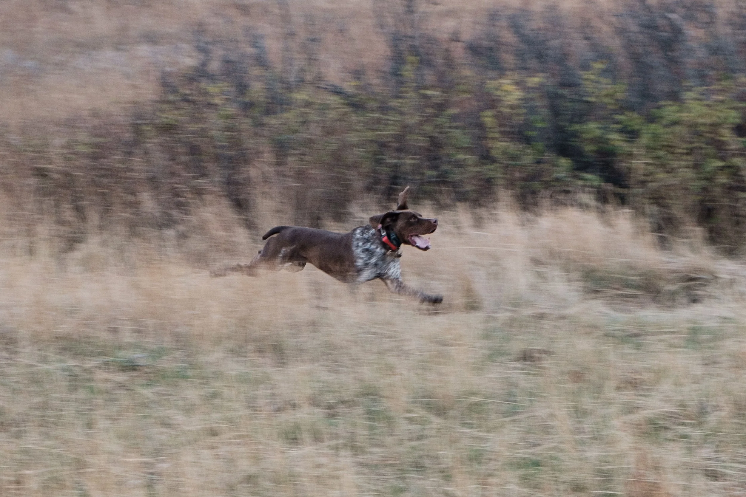 DSCF3433.jpg