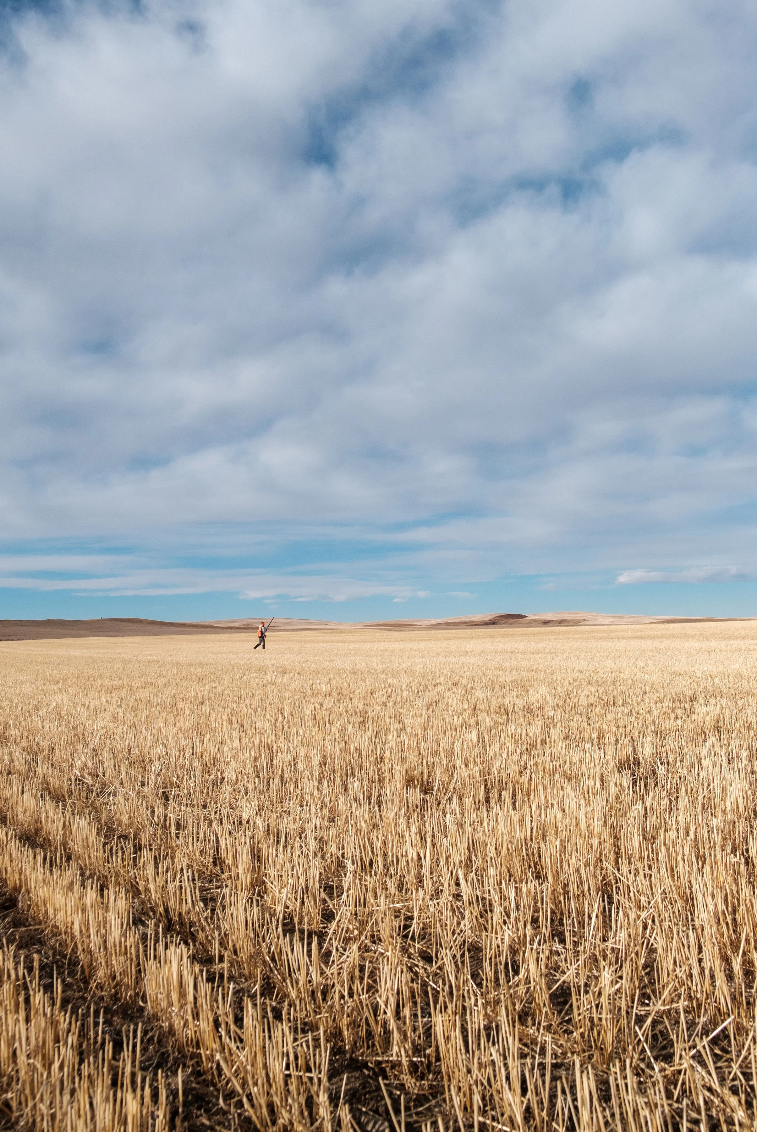 DSCF3768.jpg