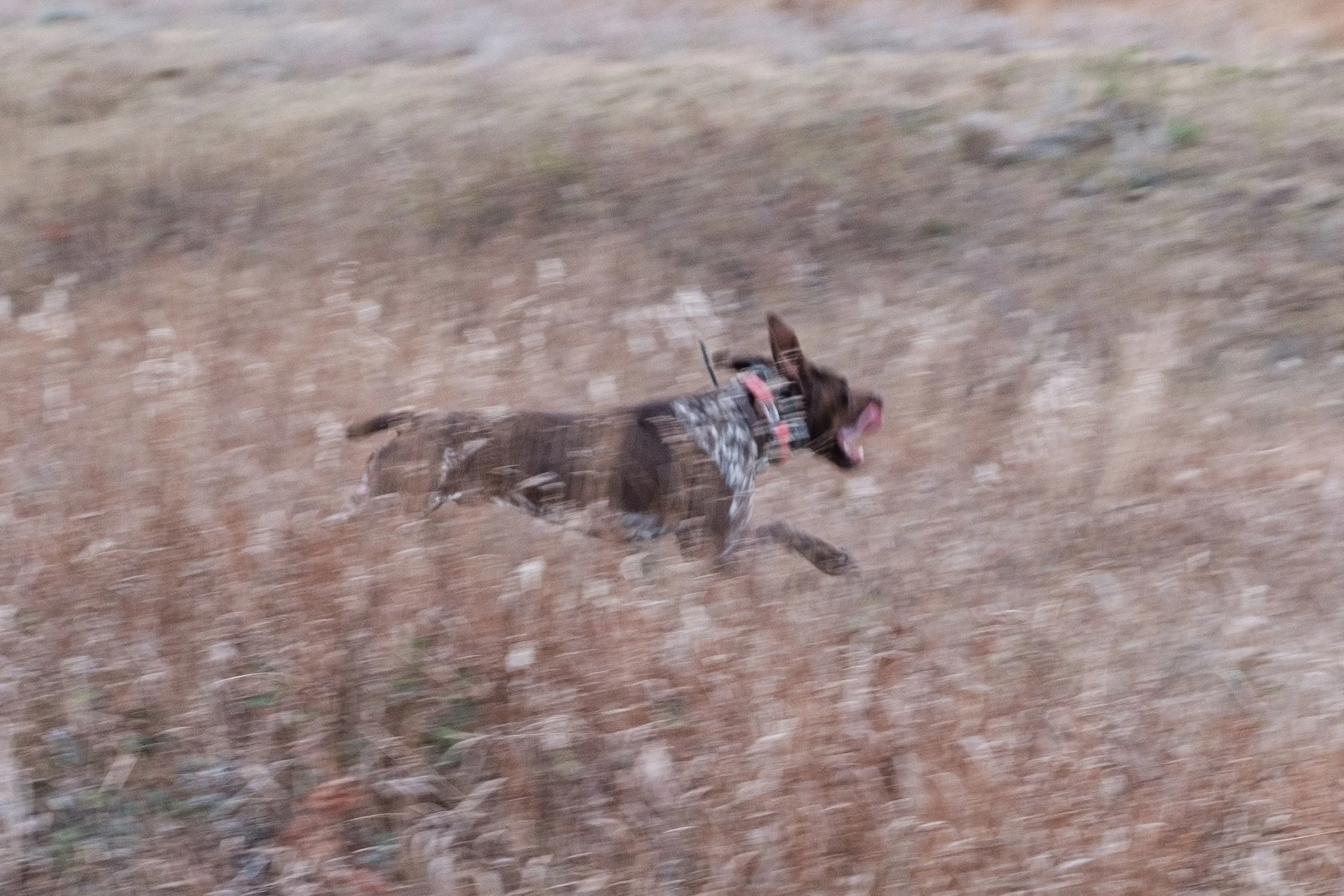DSCF3470.jpg