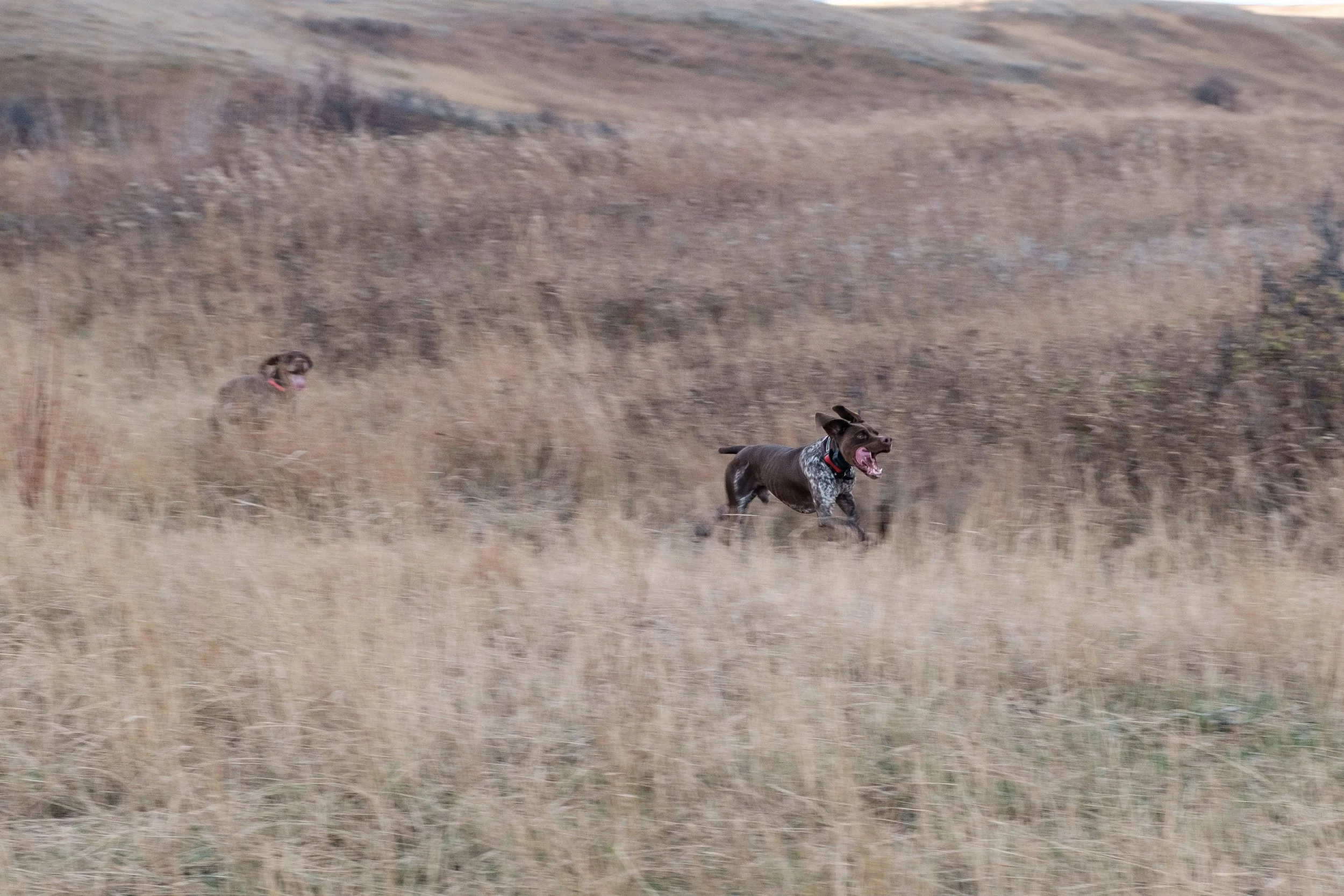 DSCF3431.jpg