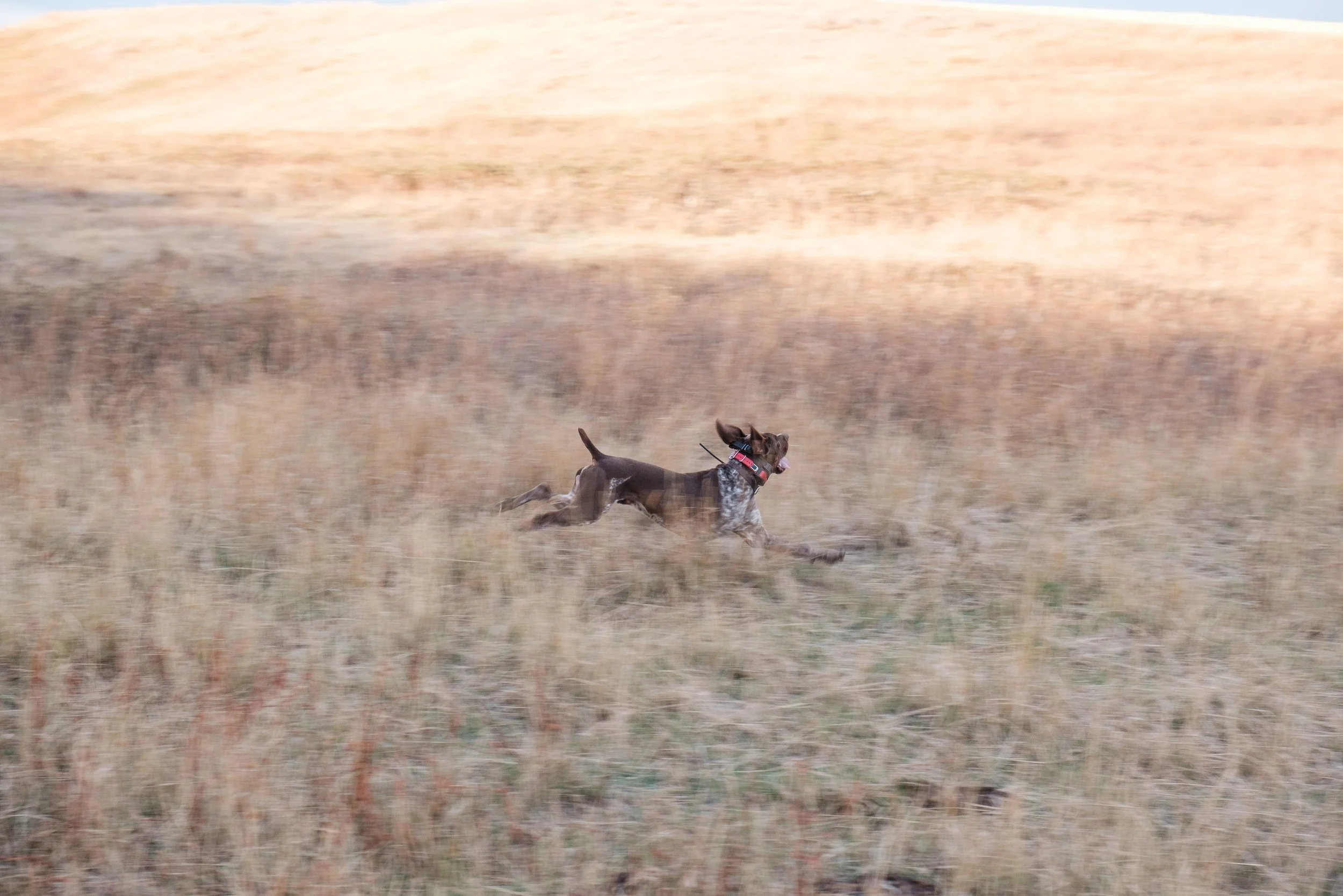 DSCF3439.jpg