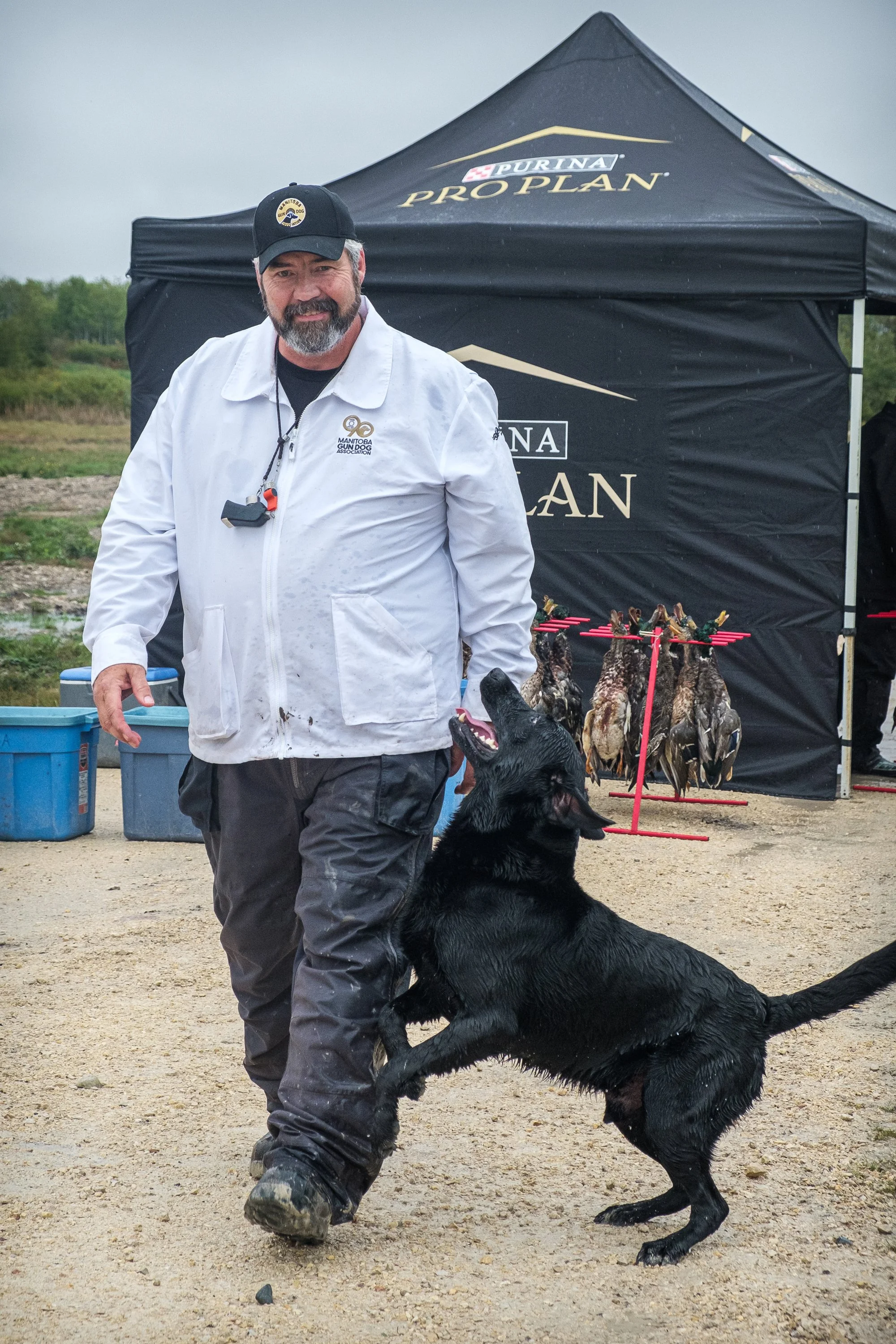 20250719-Retriever TrialDSCF4514.jpg