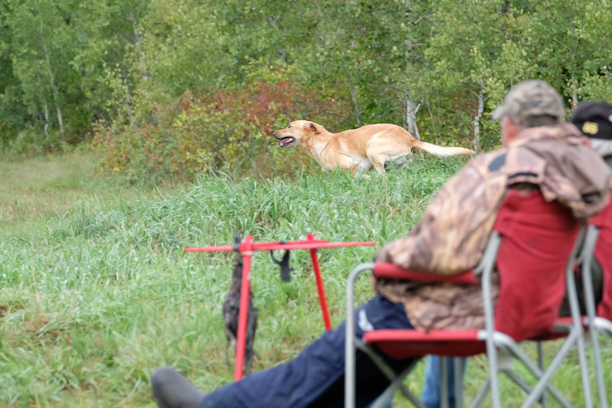 20250717-Retriever TrialDSCF4249.jpg