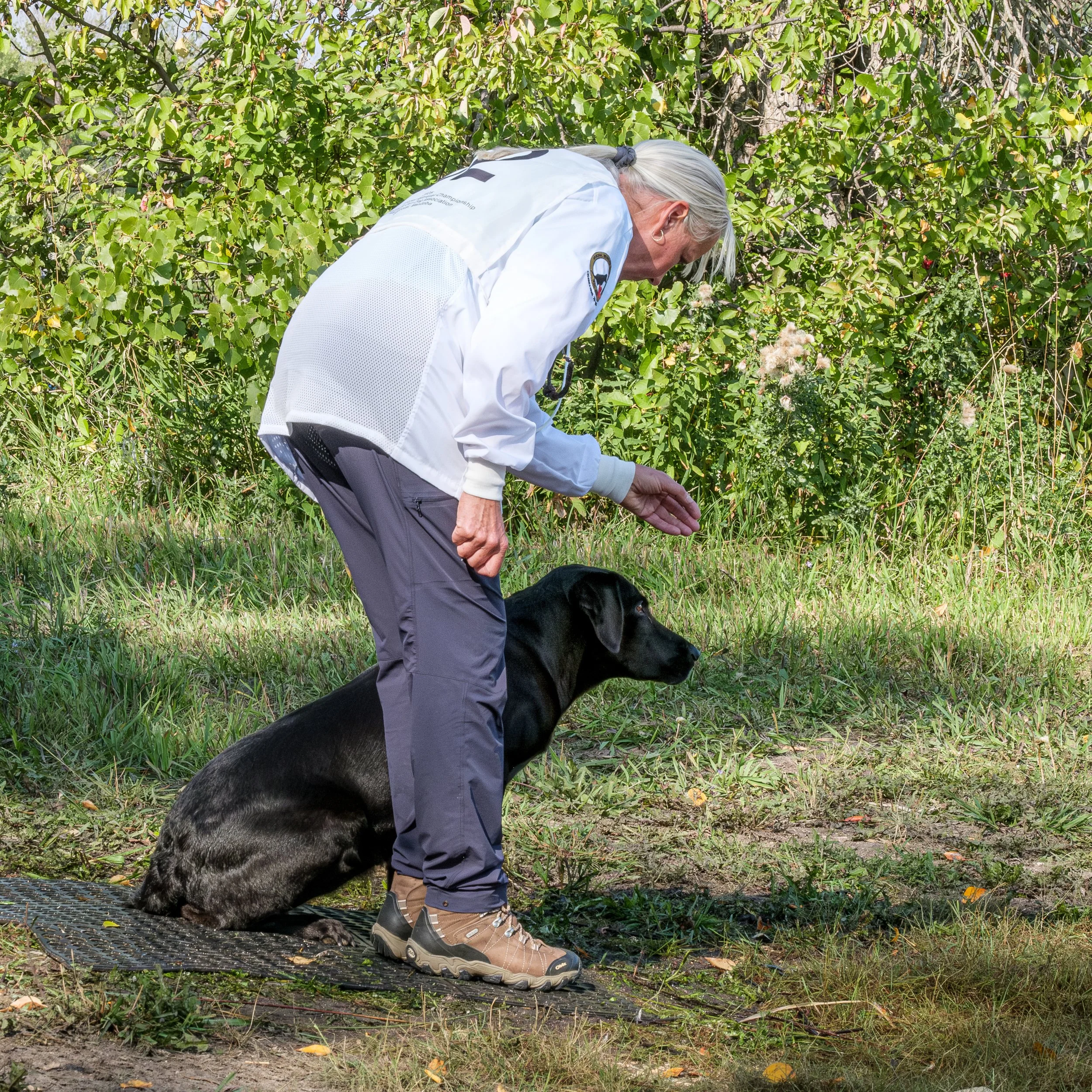 20250714-Retriever TrialDSCF3844-Enhanced-NR.jpg
