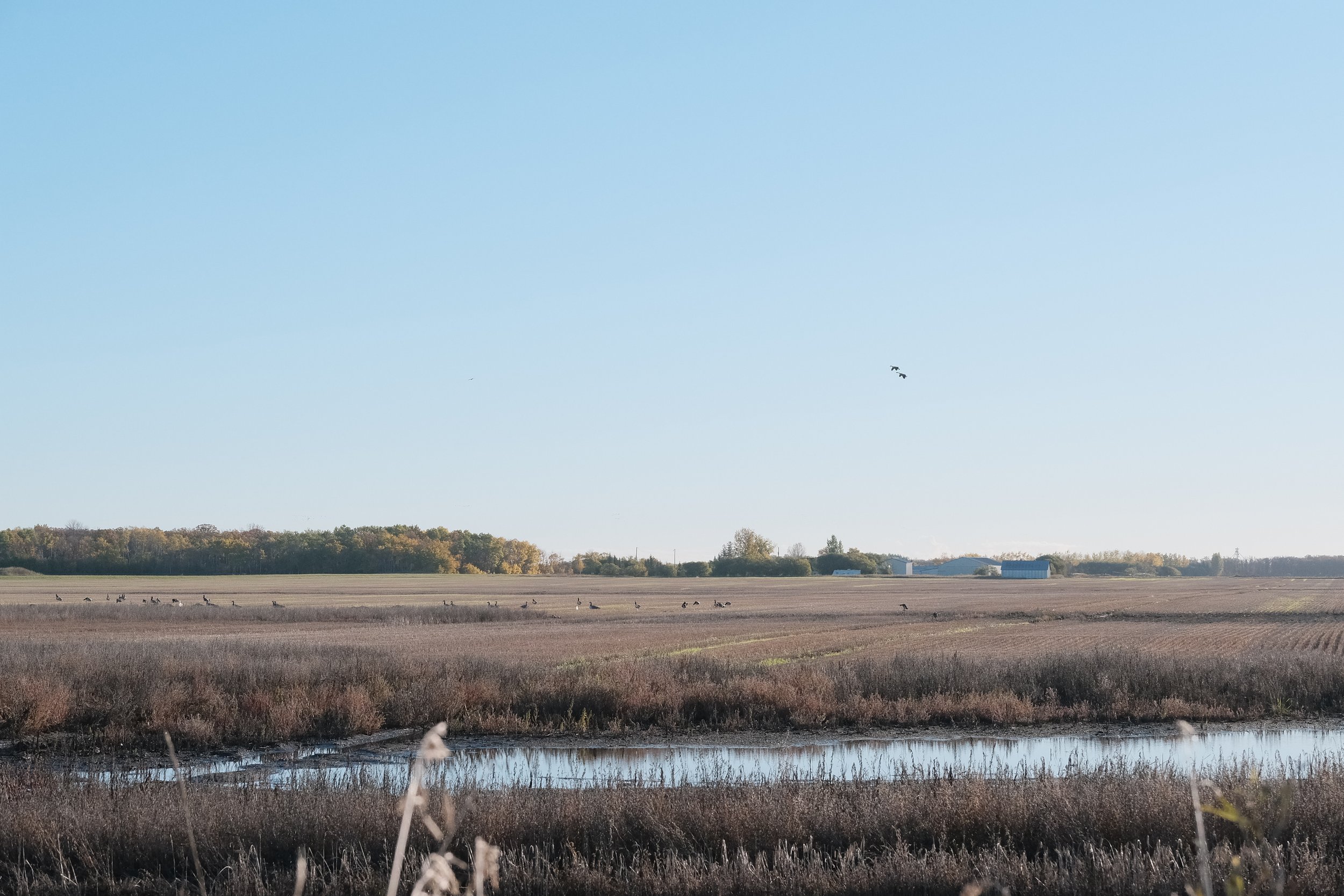 DSCF0519.jpg