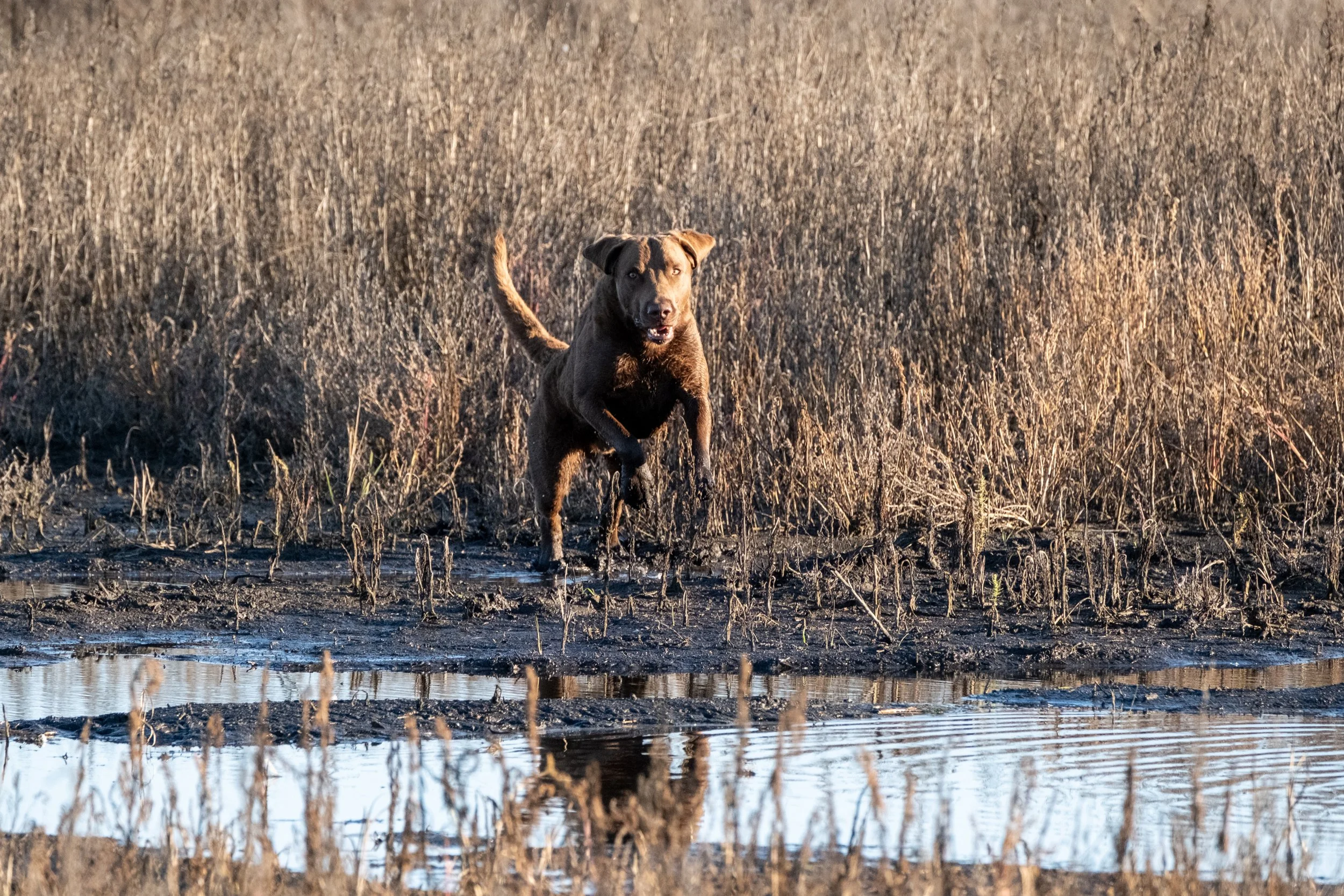 DSCF7178.jpg