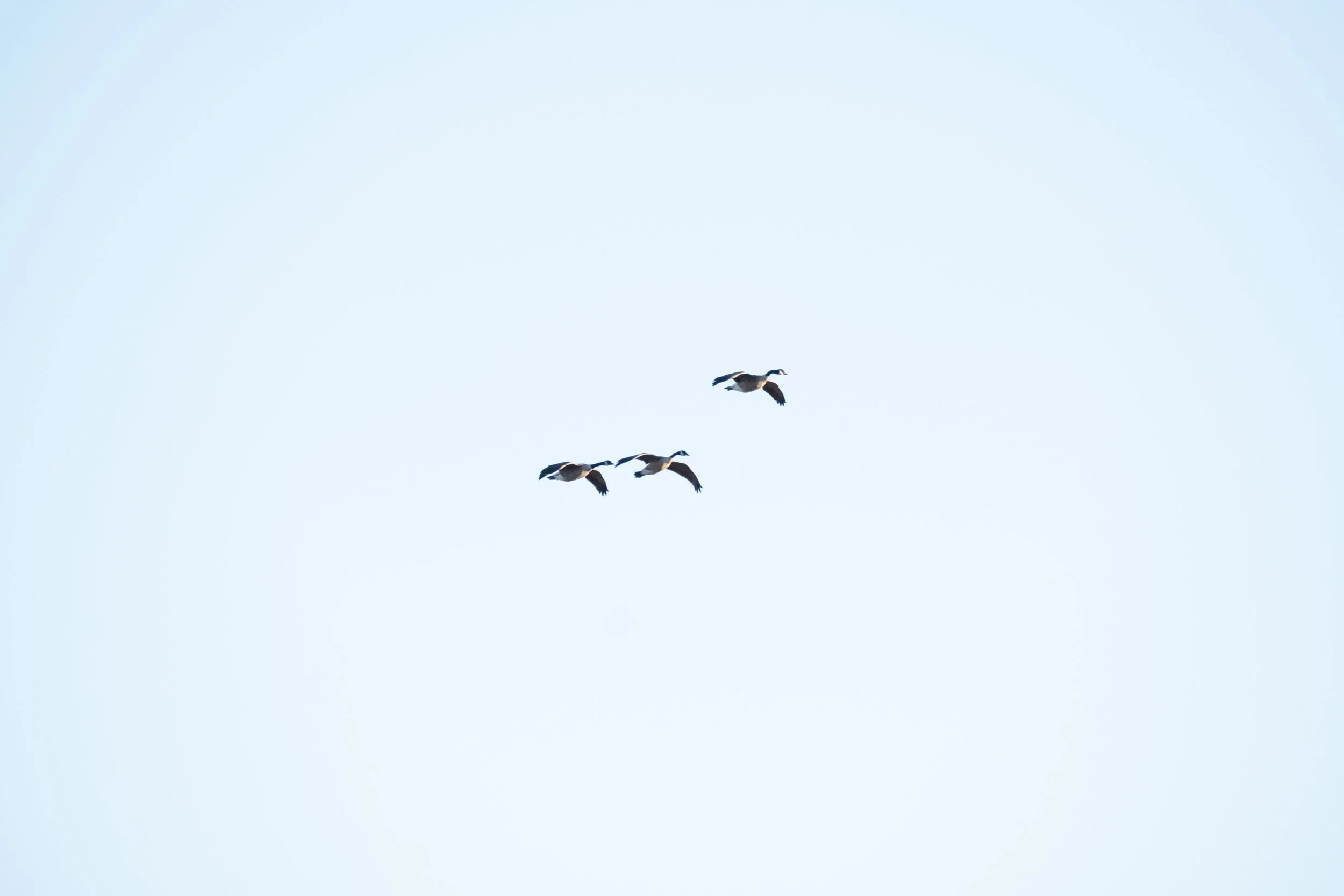 DSCF7053.jpg