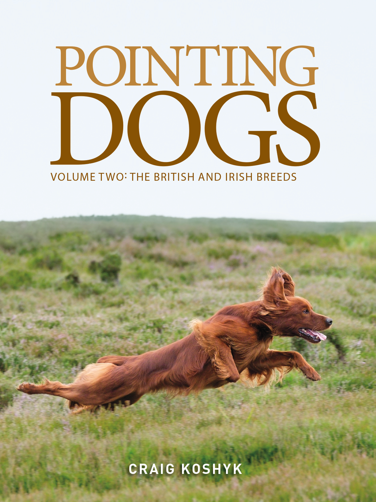 Volume Two Cover.png