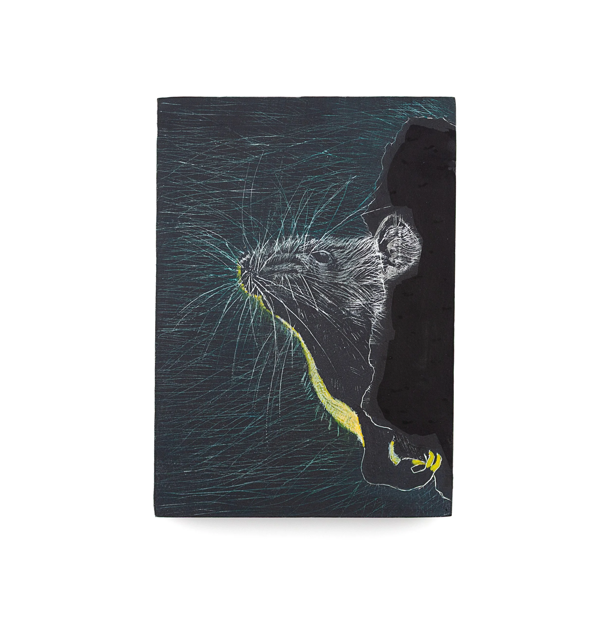 Rats Sense Mass Movements
