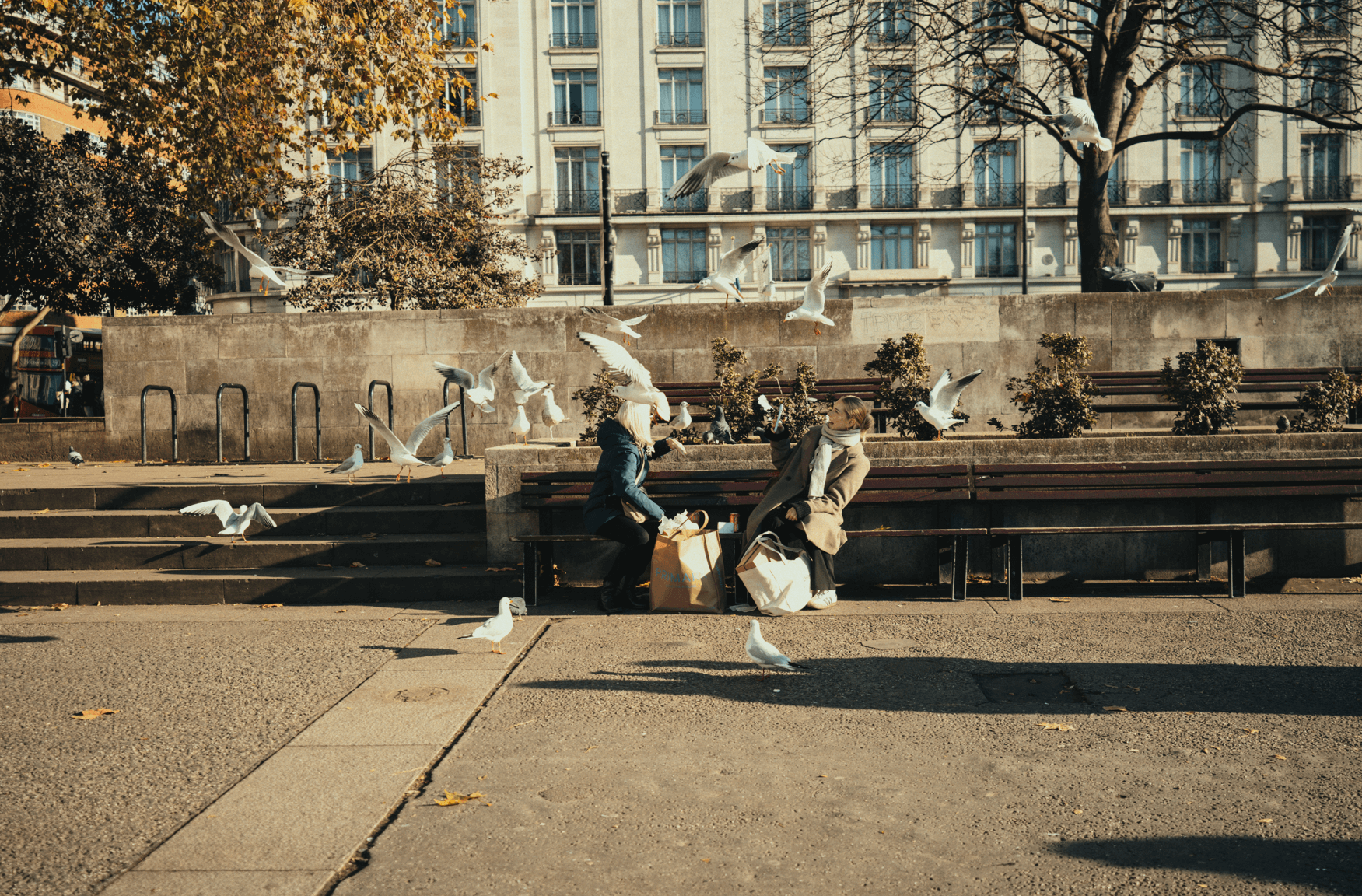 Screenshot 2025-12-08 164637.png