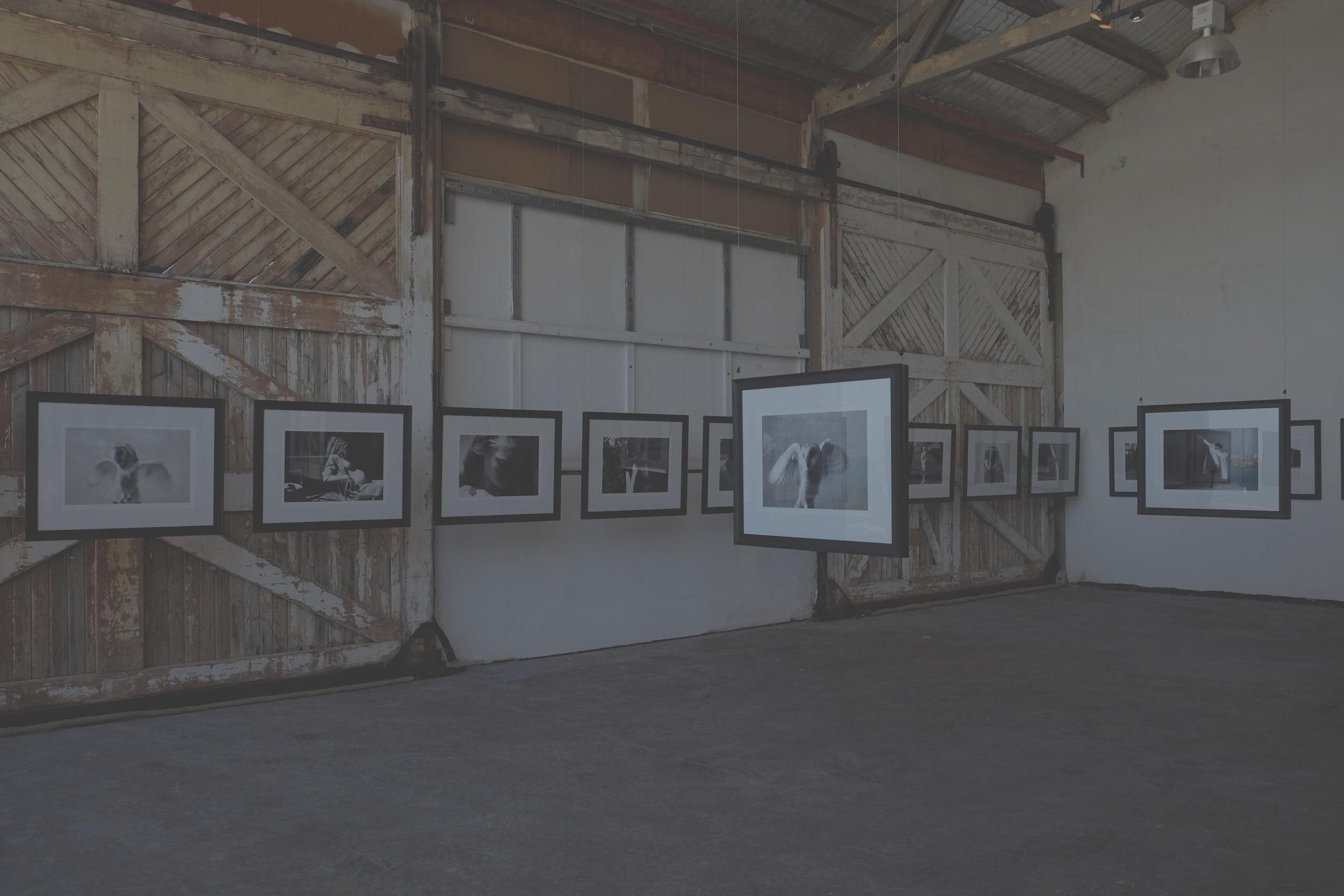 art hanging_Liz Looker Photographer 2_GREY.jpg