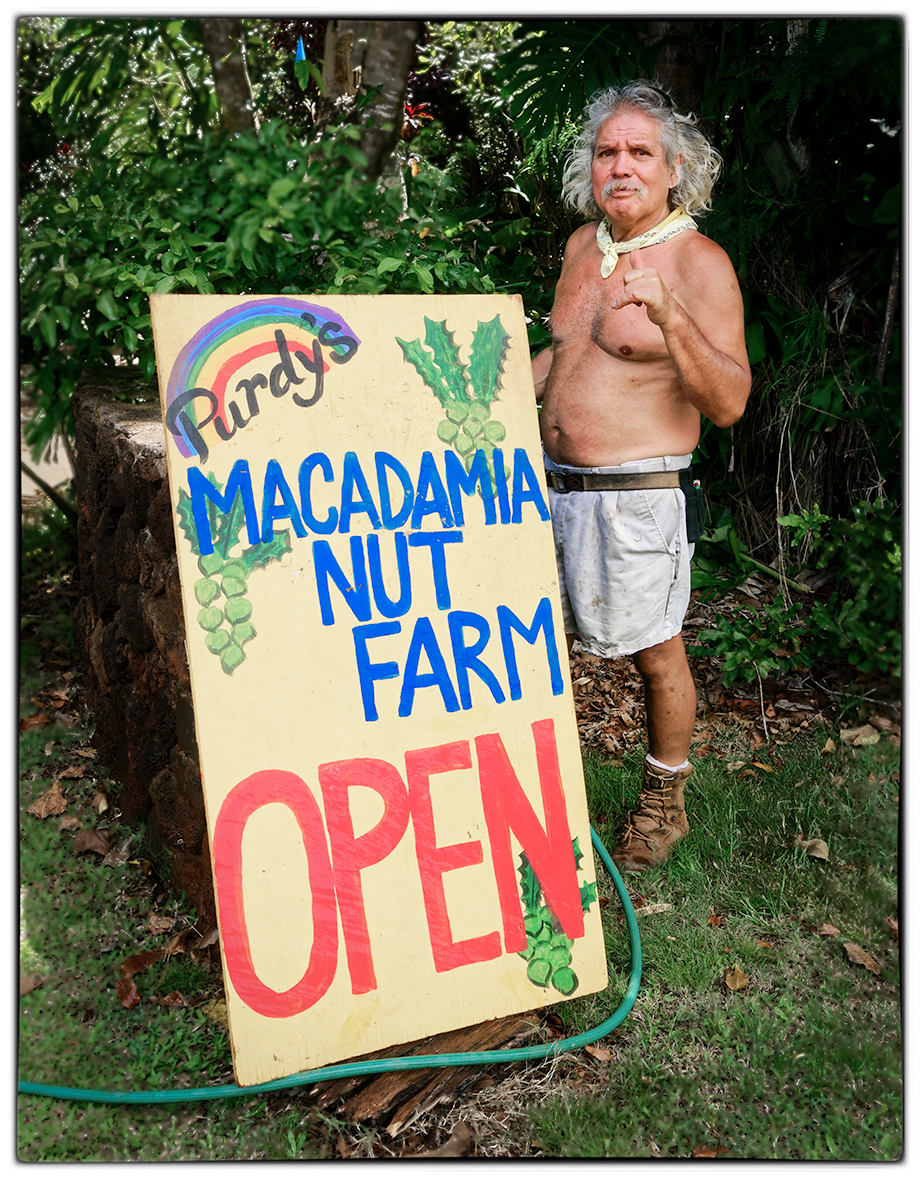 Macadamia Nut Farm