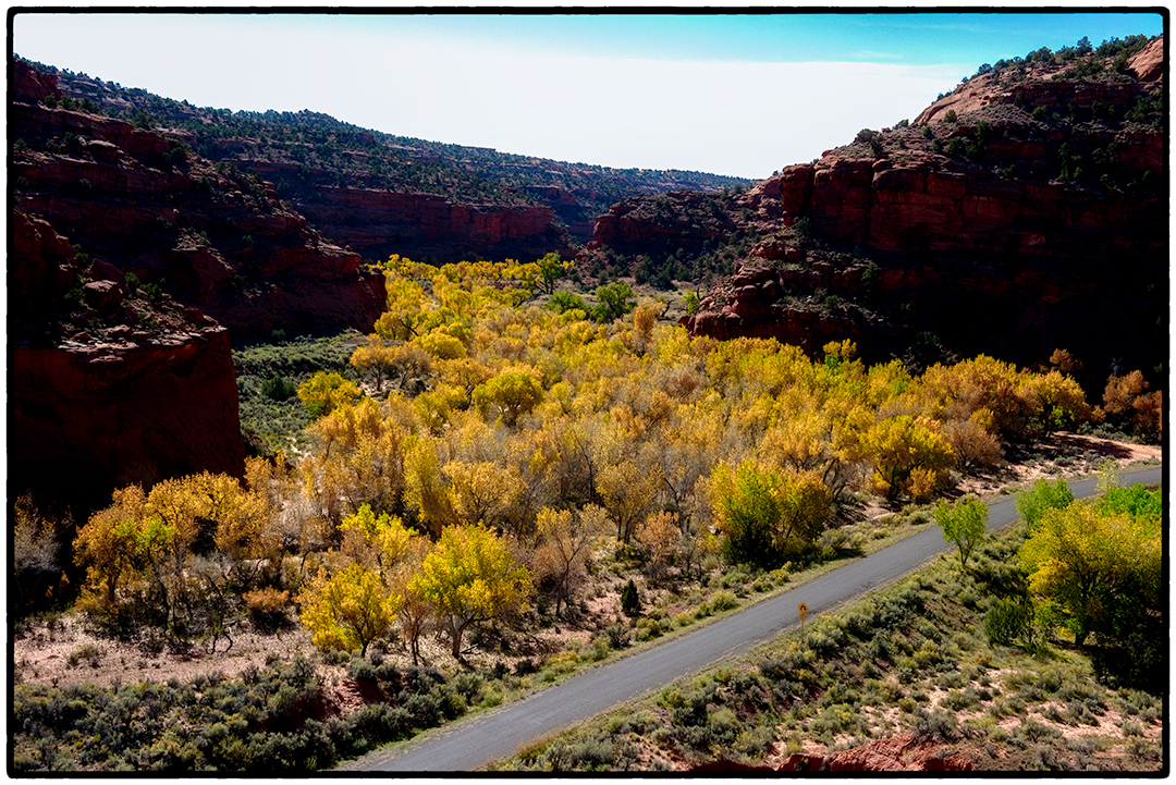 Along the Burr Trail in Escalante National Monument