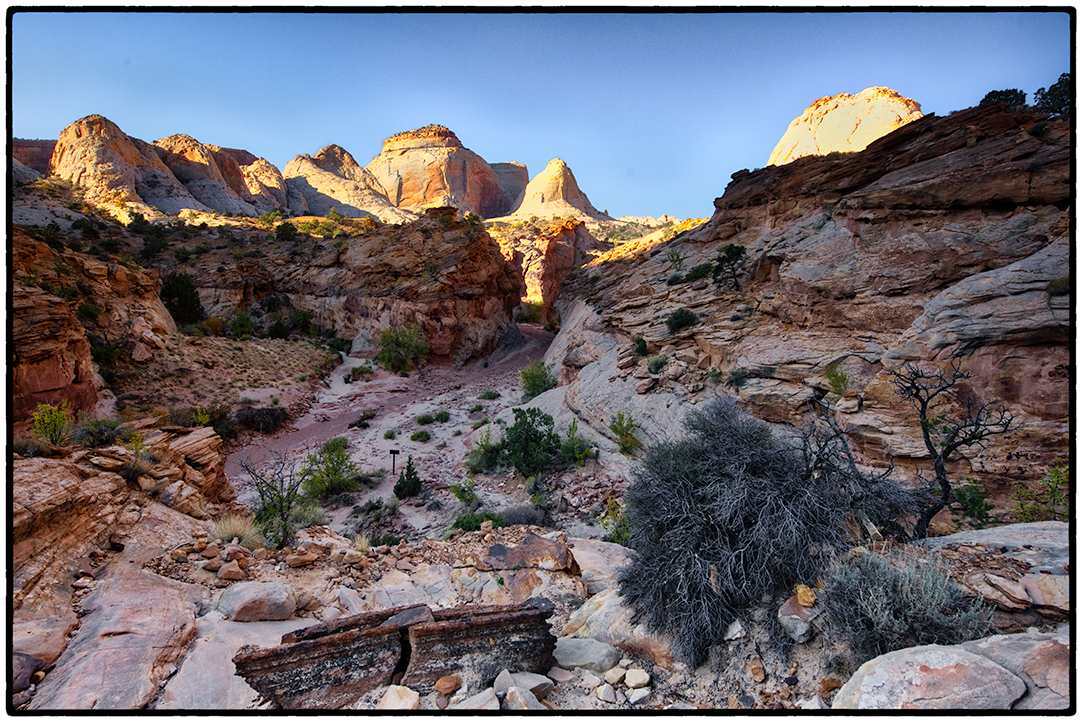Along the Grand Wash in Capitol Reef National Park