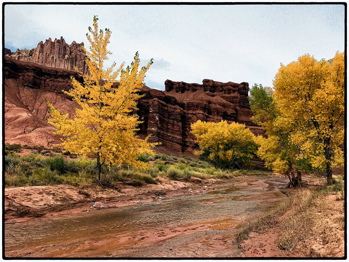 Trees by the Visitor Center, Capitol Reef, Utah