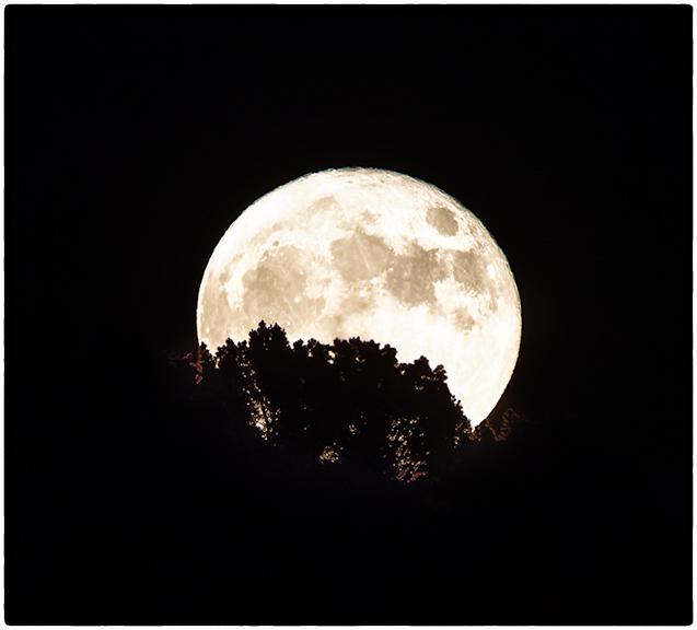"Supermoon", November 14, 2016 6:00 pm