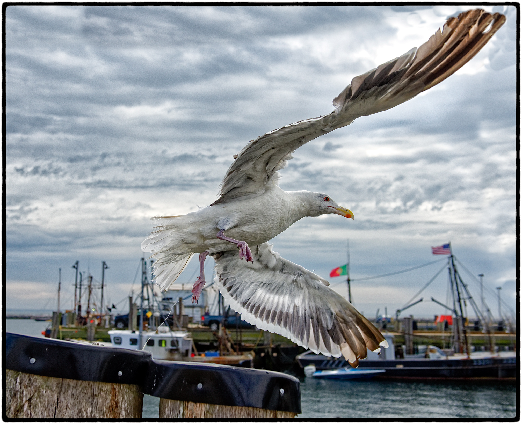 Provincetown