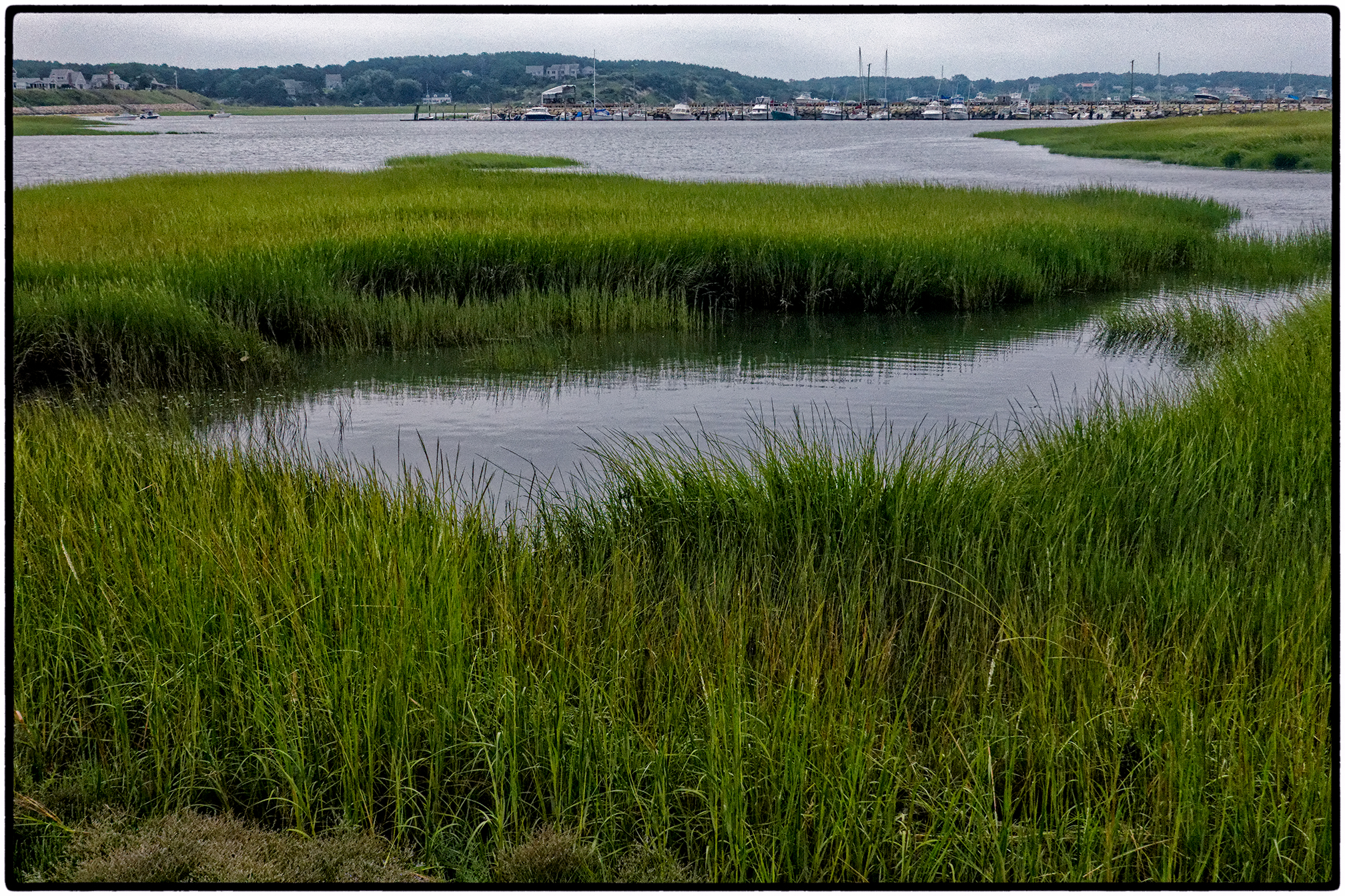 Wellfleet harbor