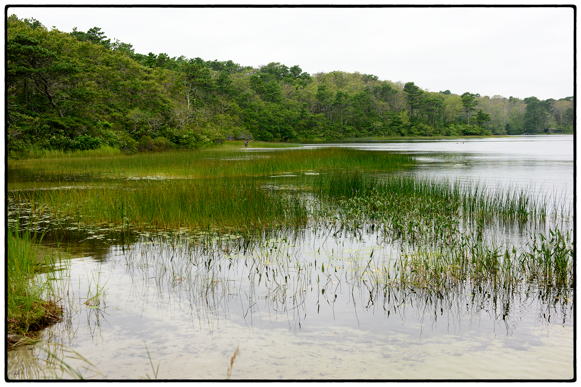 Horseleech Pond