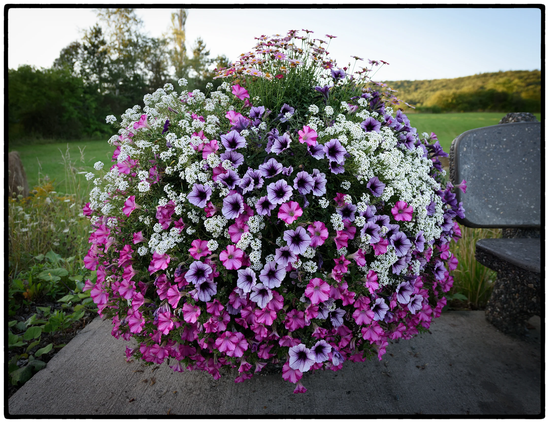 Mabou