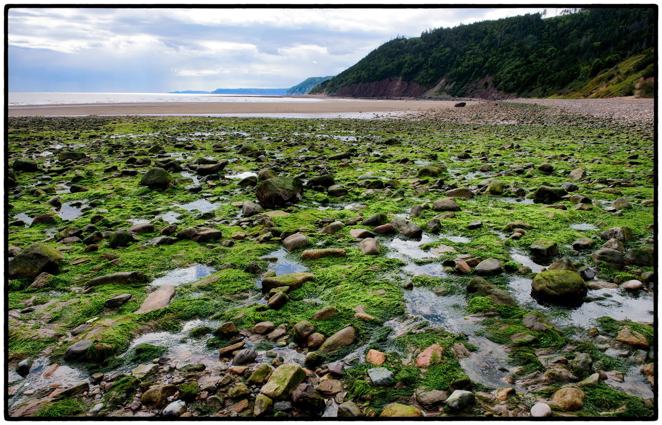 Low tide, Bay of Fundy