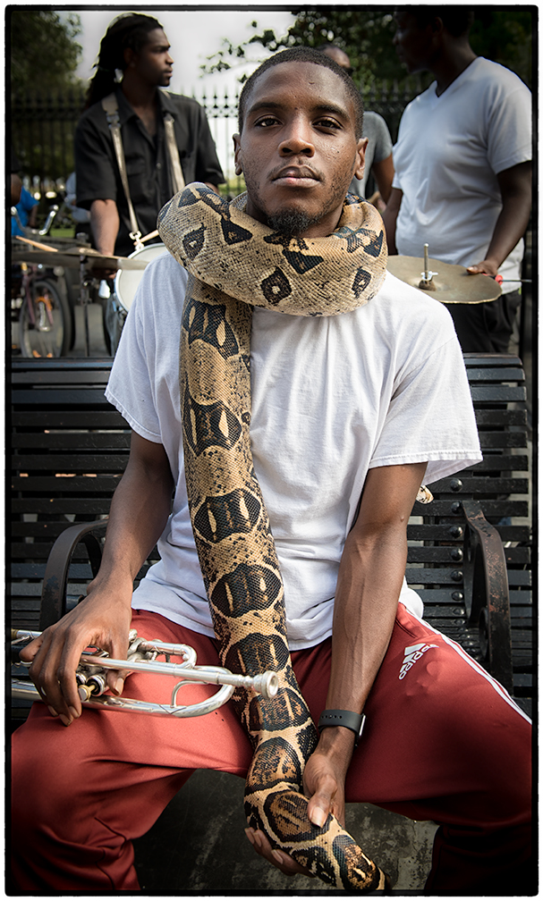 Trumpet and Snake, Lafayette Square