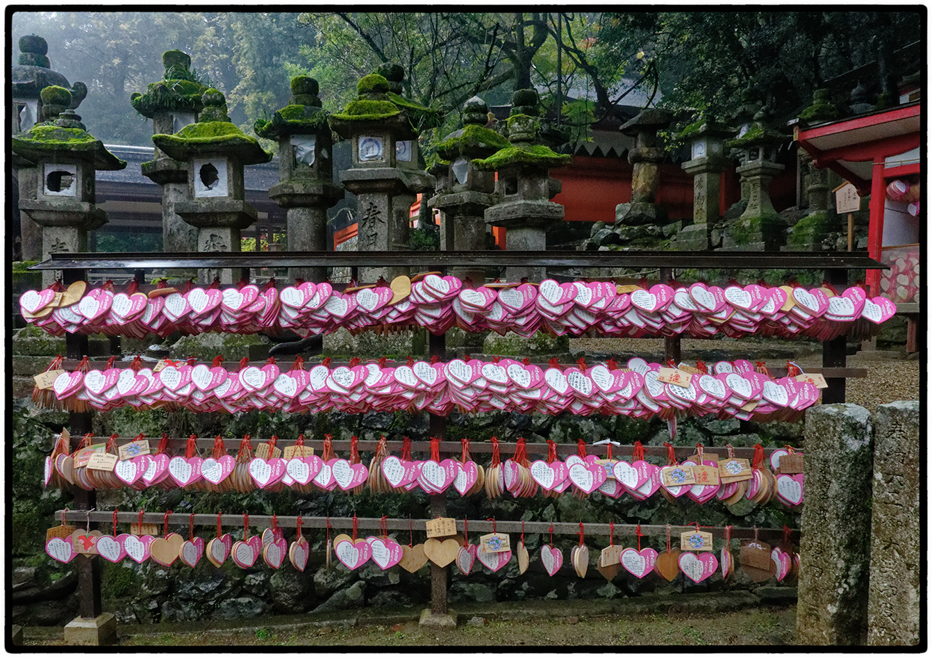 Prayers Left at Shinto Shrine