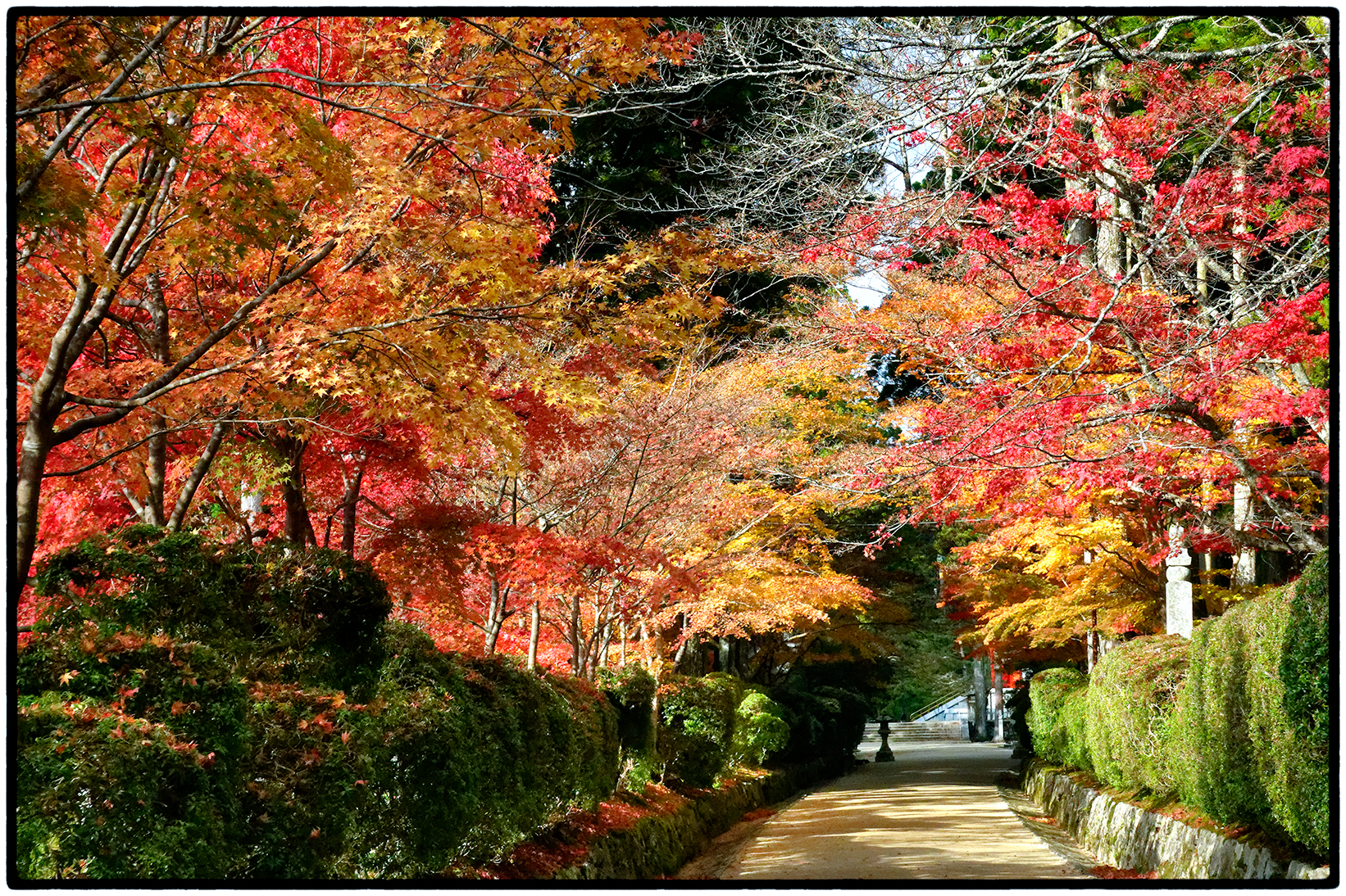 Entrance to Shrine at Ryoan-ji