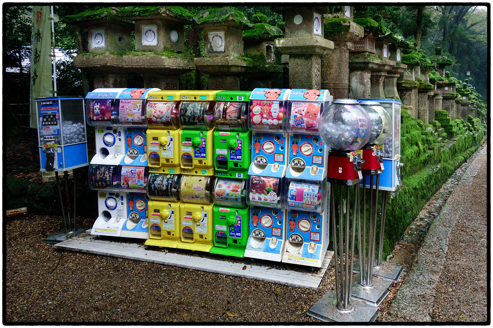 Vending machines at the Shinto Shrine. Nara