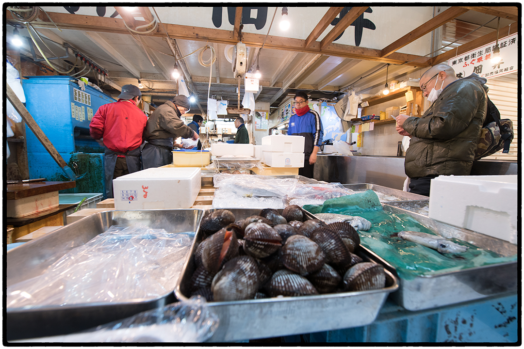 Tokyo Fish Market 1