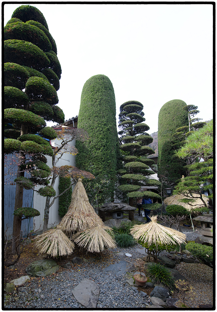 Private Garden in Hirasawa