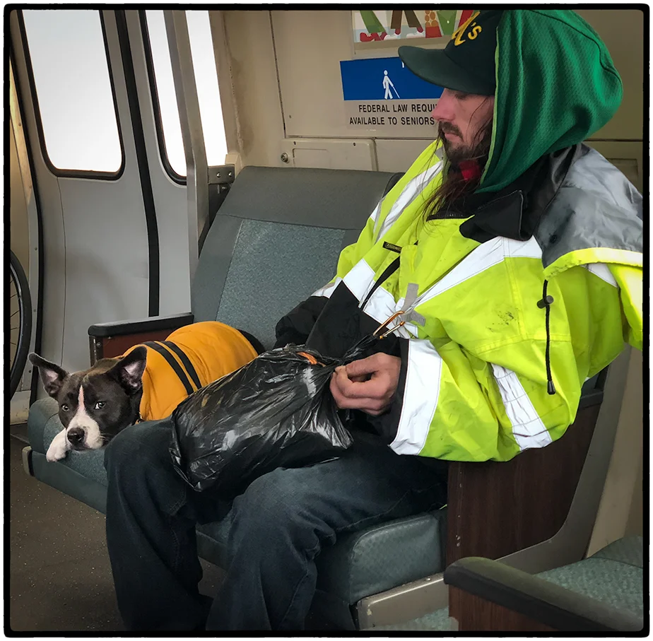 BART.jpg