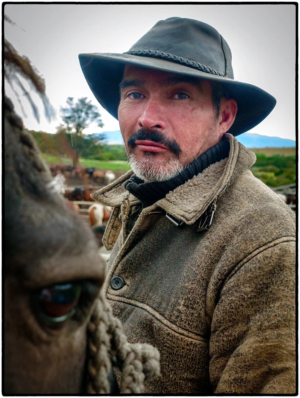 Chilean Gaucho