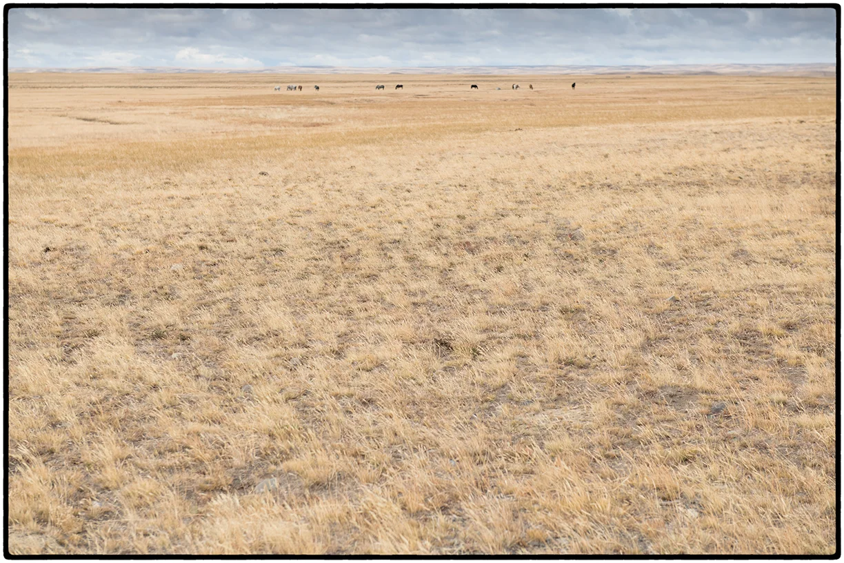 Steppes, Argentina