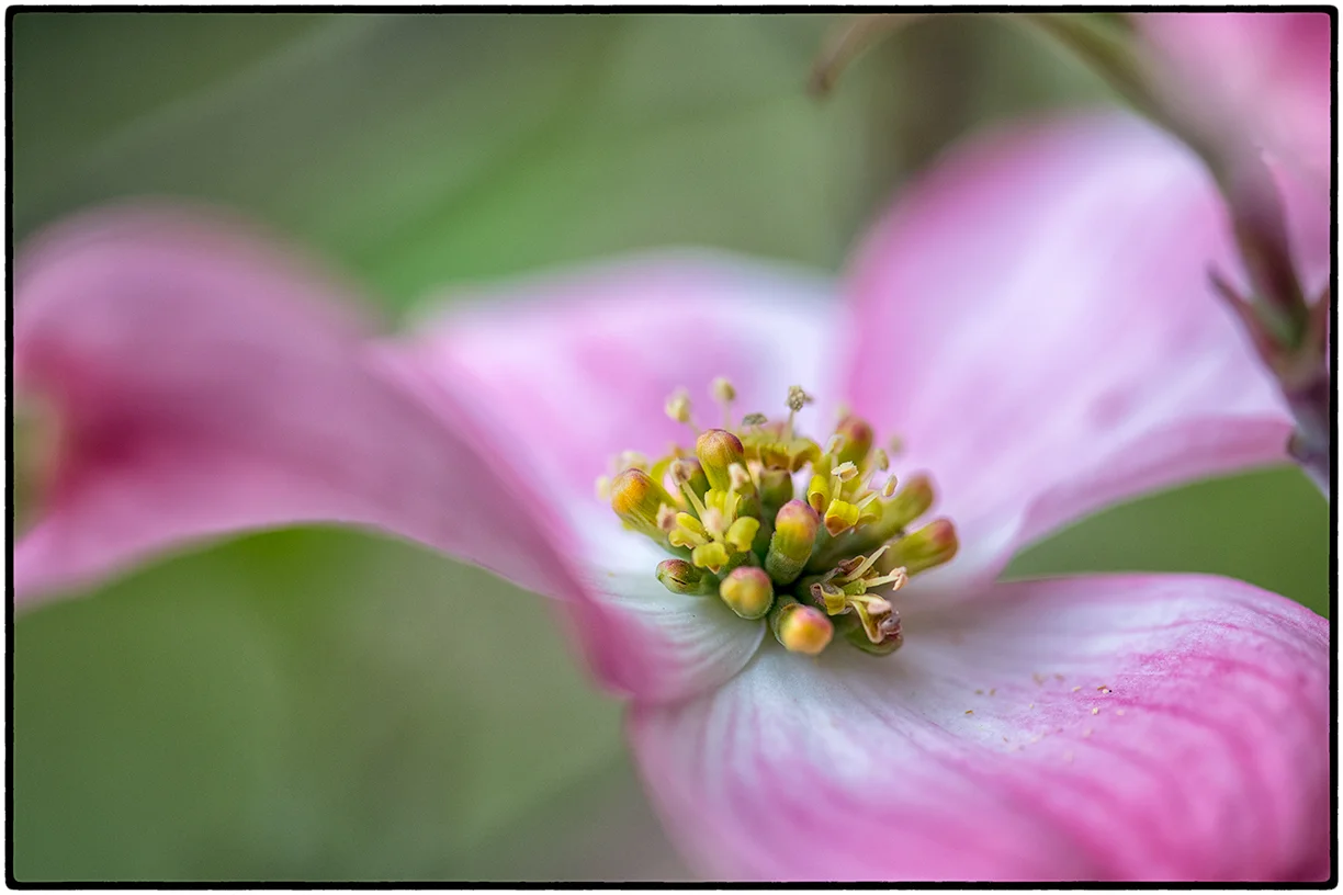 _DSC3195-Edit.jpg