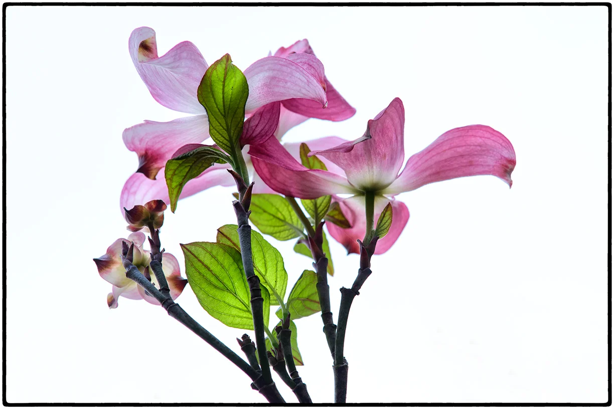 _DSC3232-Edit-Edit.jpg