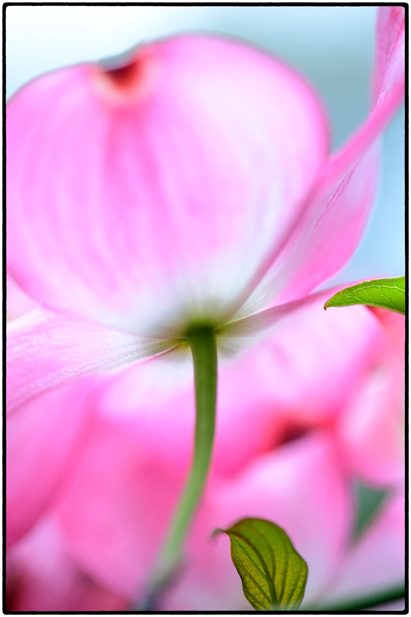 _DSC3138-Edit-Edit.jpg