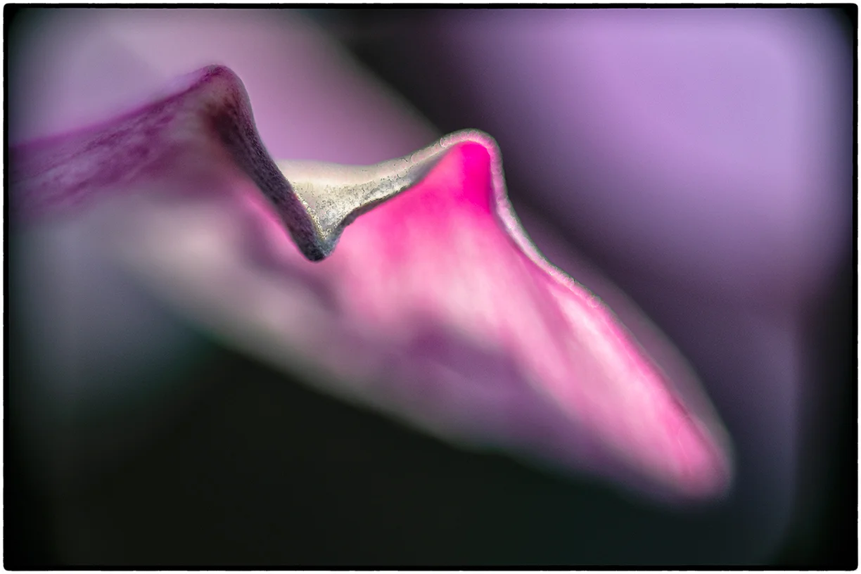 _DSC3607-Edit.jpg