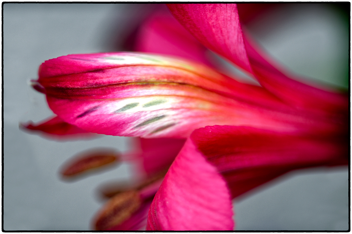 _DSC5704_openWith-Edit-Edit-Edit.jpg