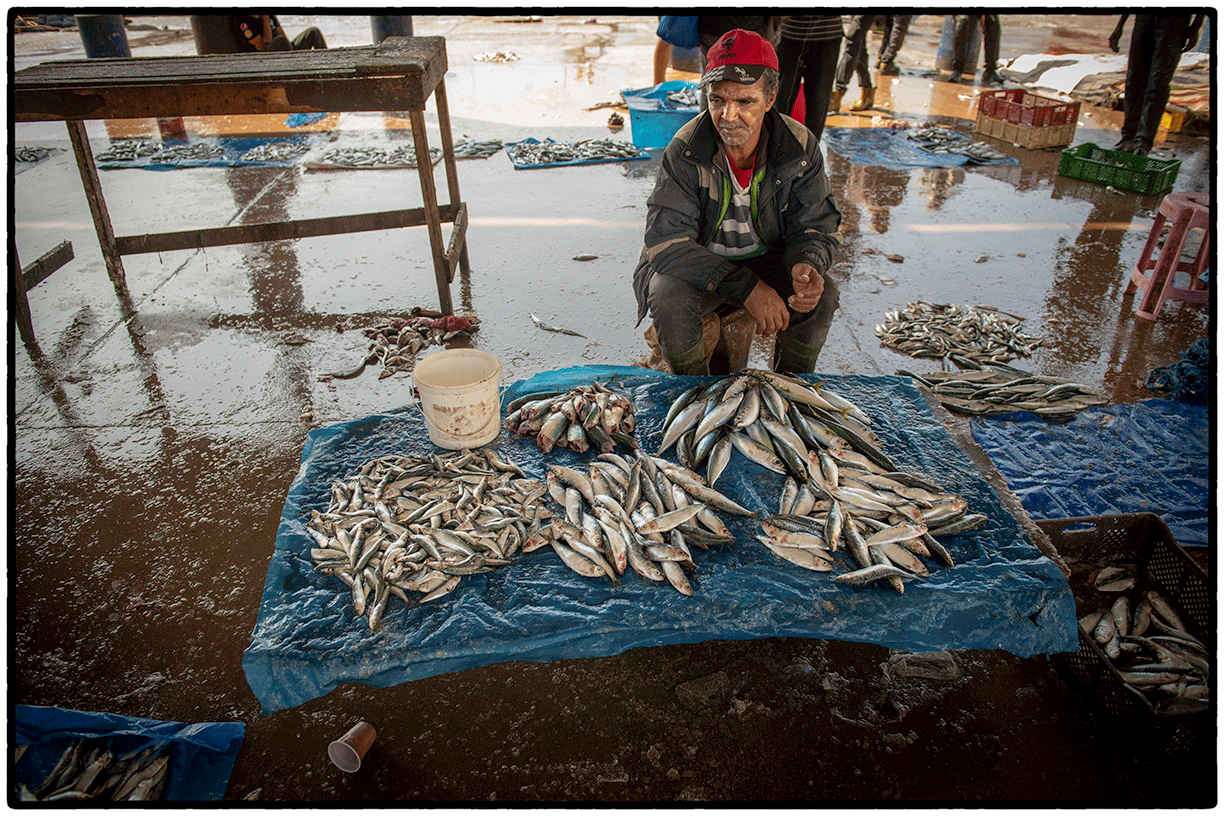 Fish Market, Casablanca