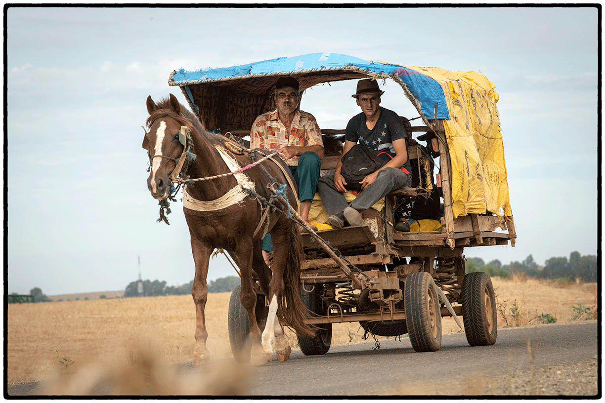 _DSC6671-Edit.gif