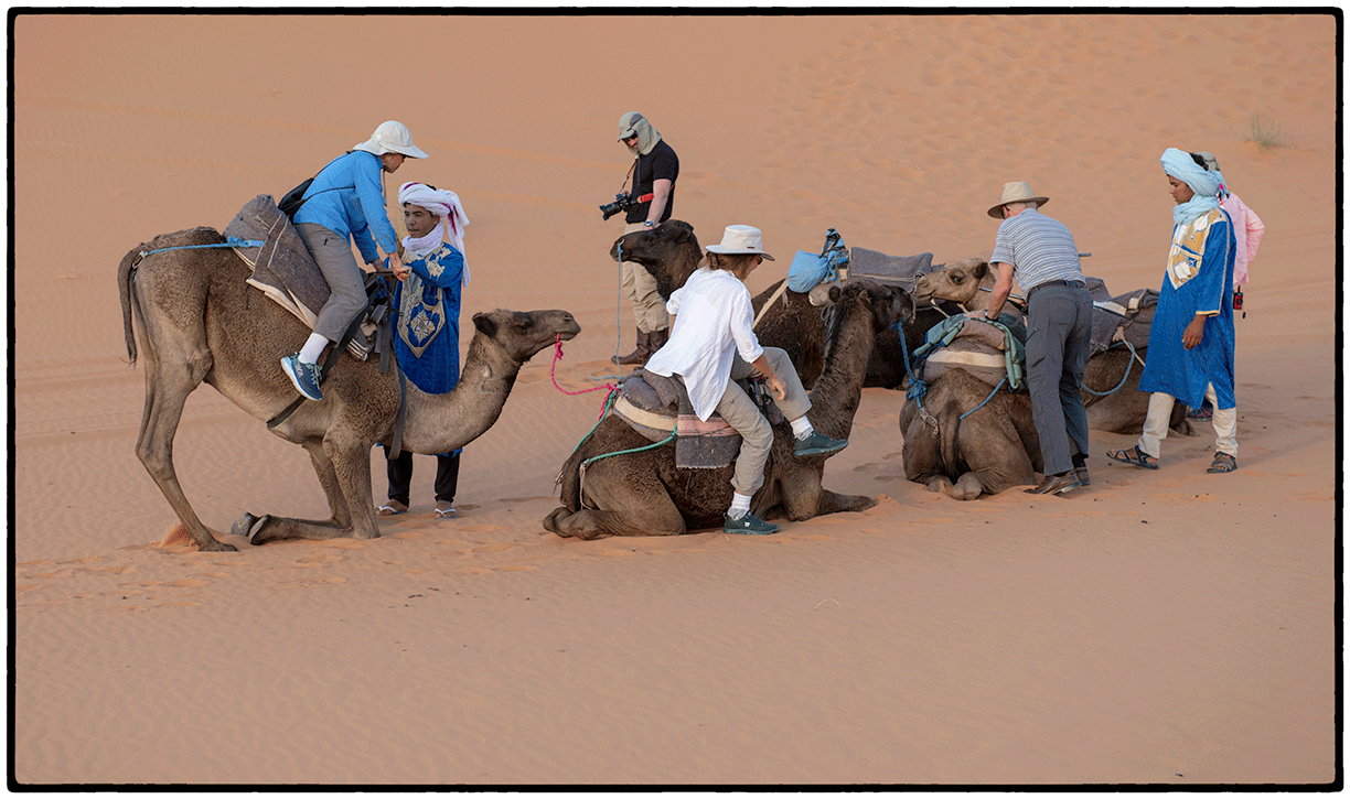 _DSC7153-Edit.gif