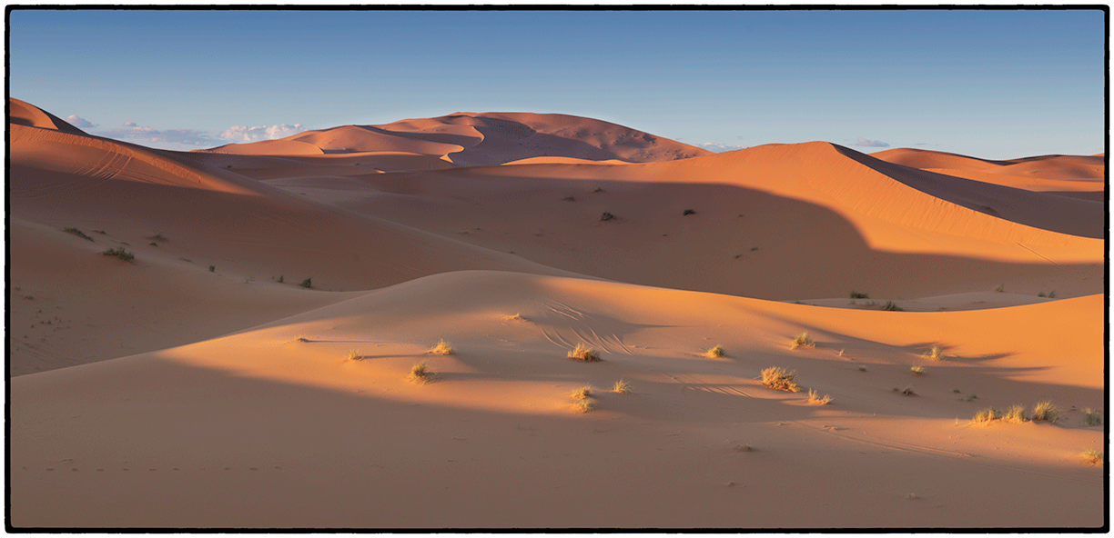 _DSC7175-Edit.gif