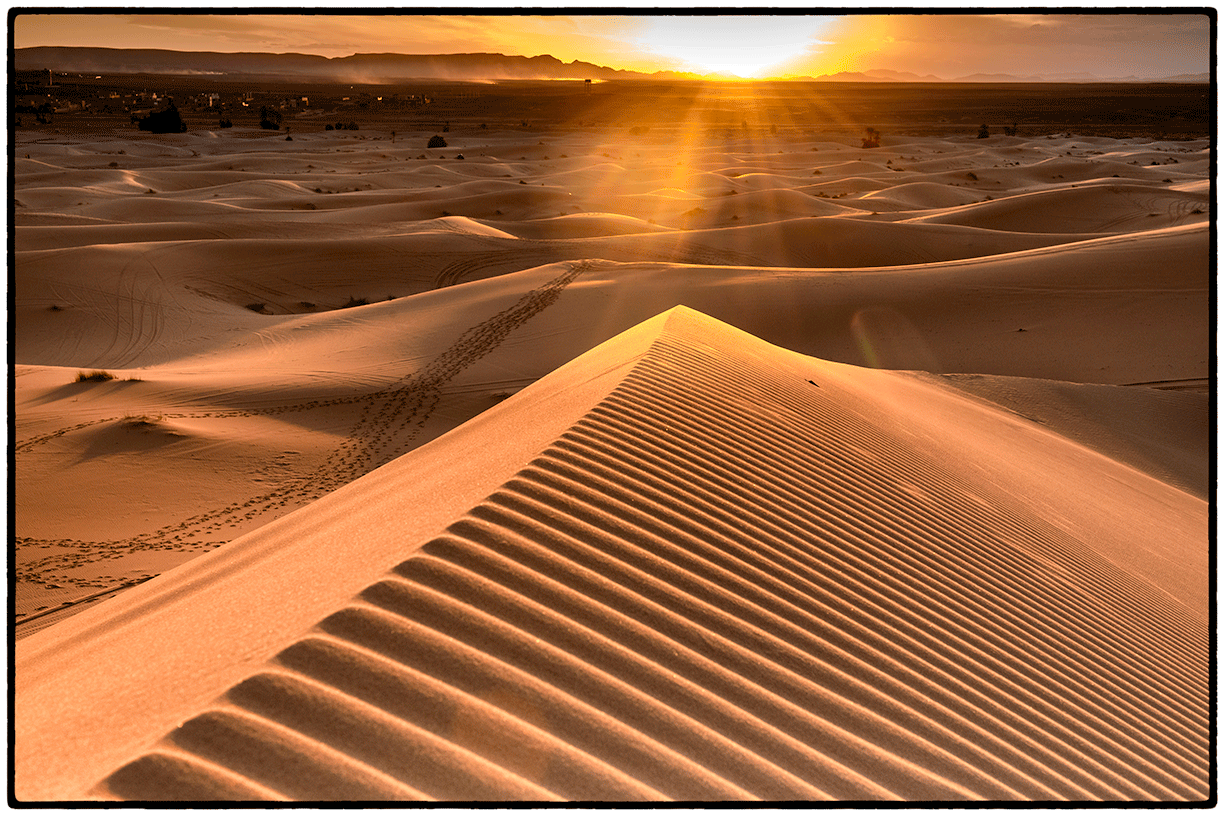 _DSC7184-Edit.gif