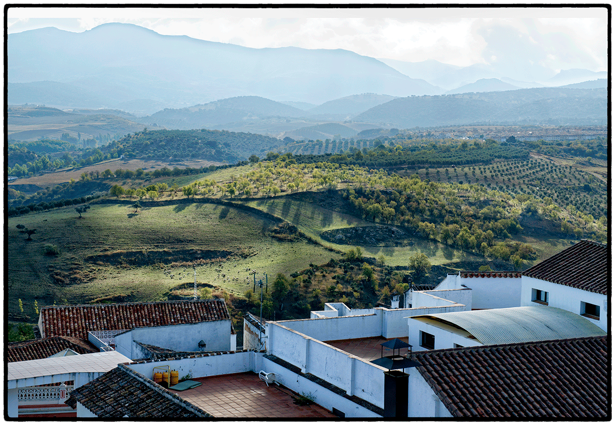 Early morning, looking East